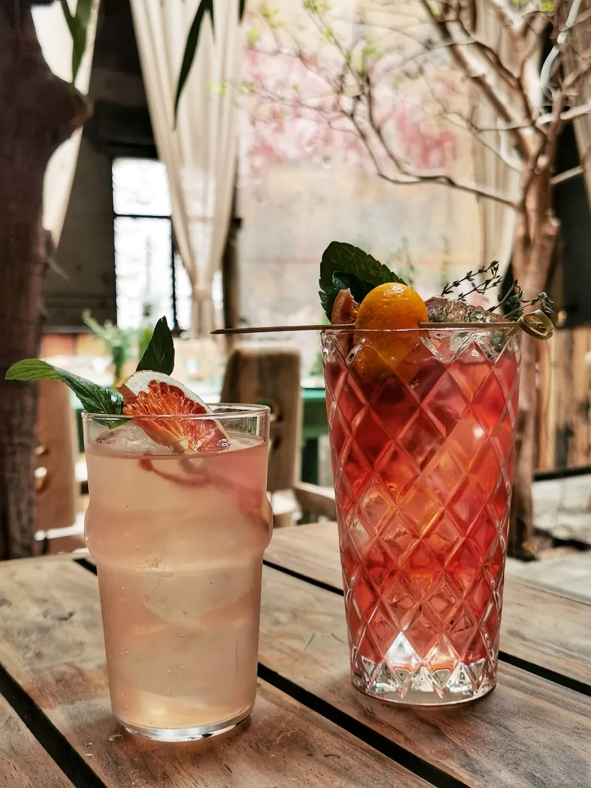 Dos cocteles con cítricos y hierbas sobre la barra.