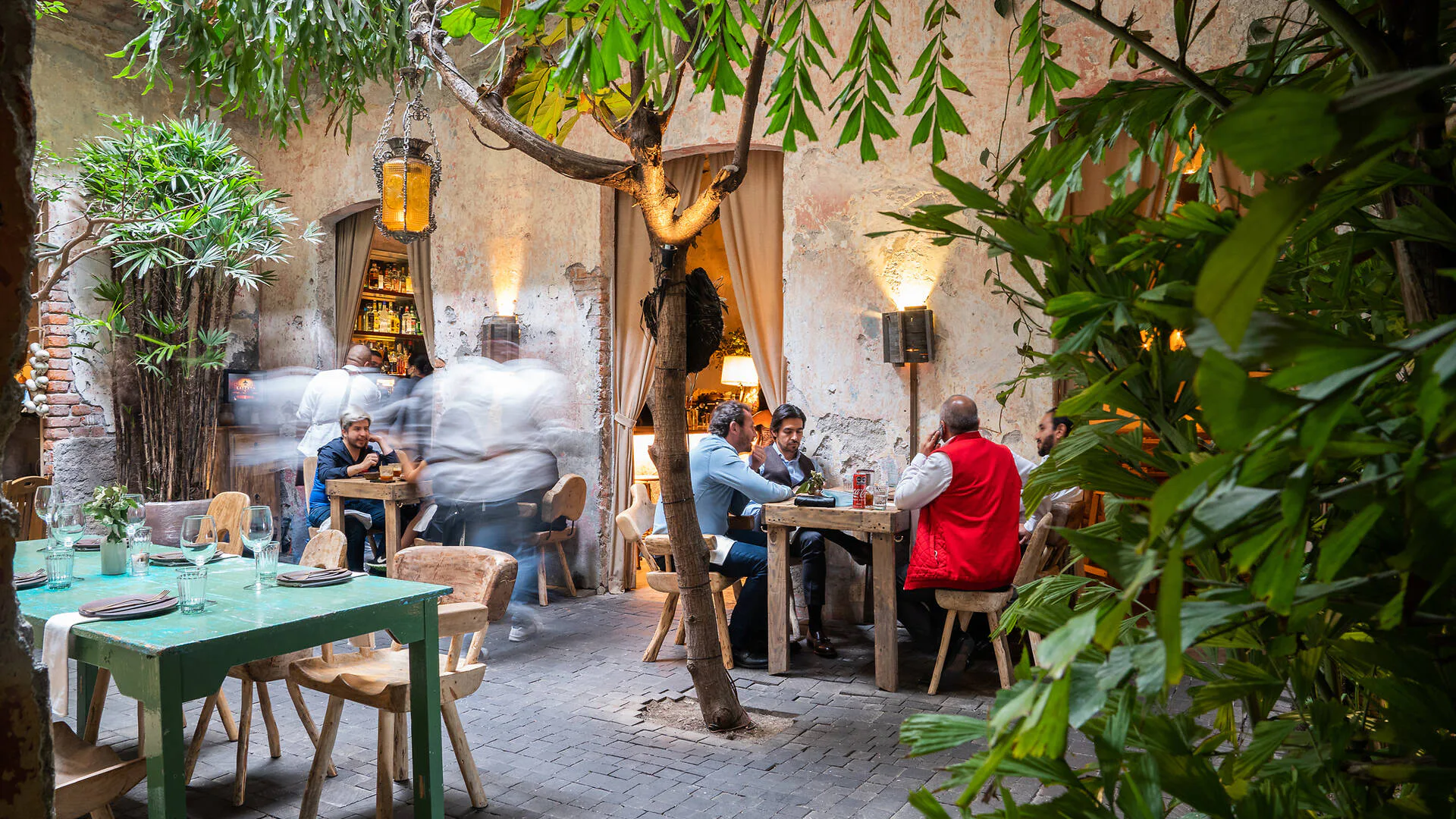 Patio arbolado de Taverna con mesas ocupadas y movimiento de servicio.